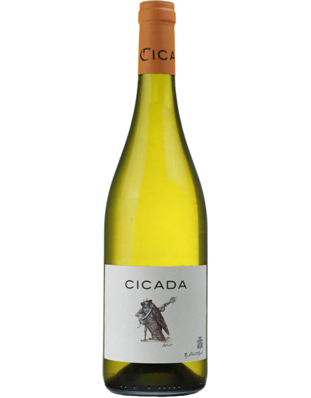 VDF ''CICADA'' [BLANC] CHANTE CIGALE 2024