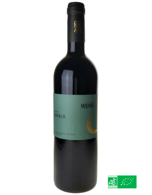 BORDEAUX (BIO) CAVALE 2023