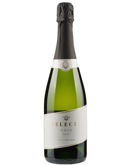 CAVA BRUT ''SELECTA'' JOSEP MASACHS