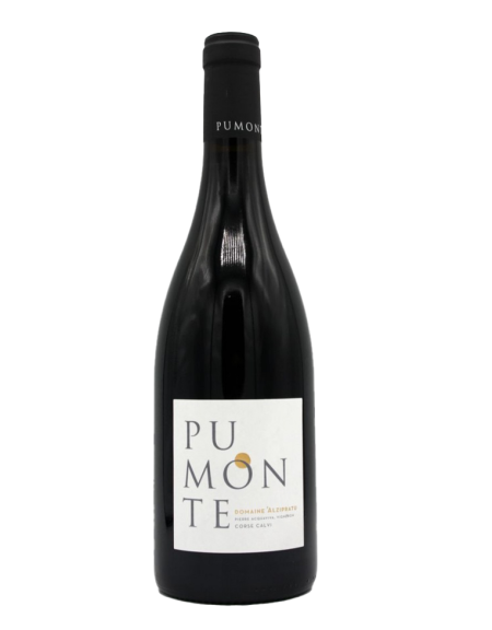 CORSE CALVI ''PUMONTE'' [ROUGE] ALZIPRATU 2022