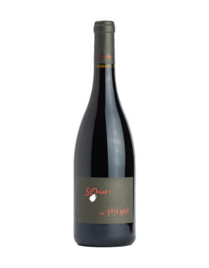 ANJOU (BIO) ''SO NAT'' [ROUGE] BOIS MOZE 2020 (FS)