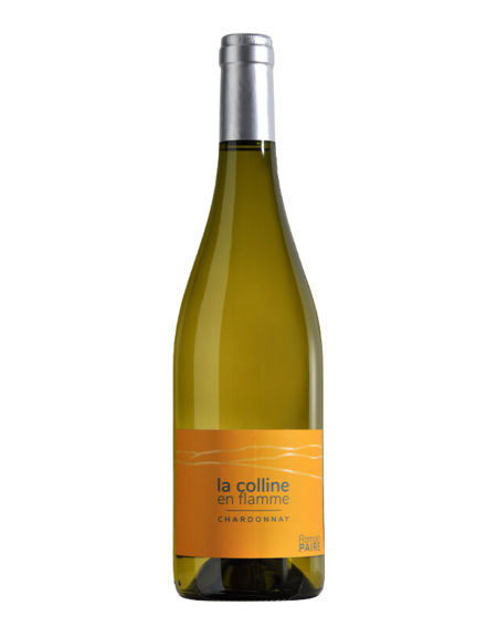 VDF (BIO) ''LA COLLINE EN FLAMME'' [BLANC] POTHIERS 2024
