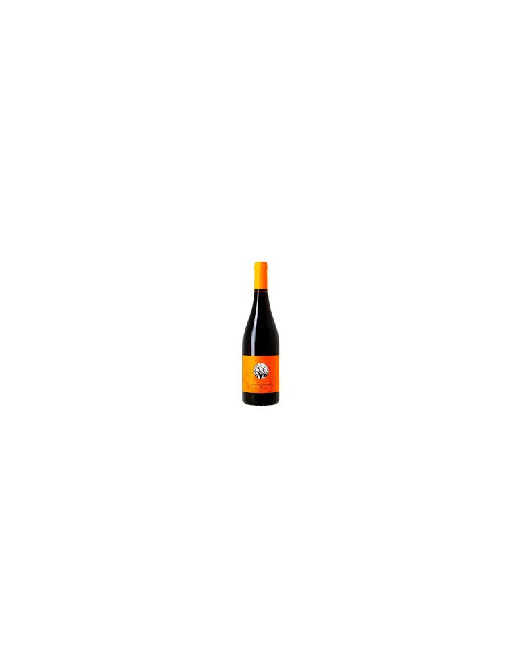 VDF (BIO) ''BILLES DE GRENACHE'' BARTHASSADE 2024