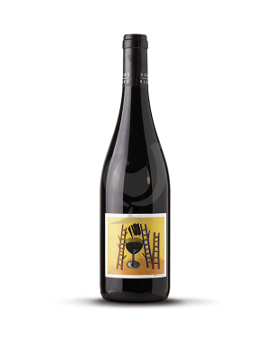 COTES DU RHONE NOUVEAU (BIO) RICHAUD 2025