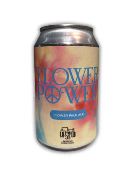 3B FLOWER POWER - Flower Pale Ale  can 33CL