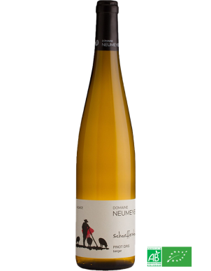 ALSACE (BIO) PINOT GRIS...