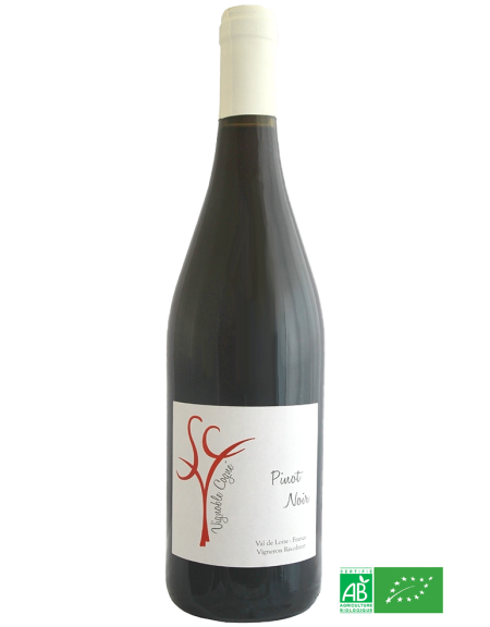 VAL DE LOIRE ''PINOT NOIR'' COGNÉ